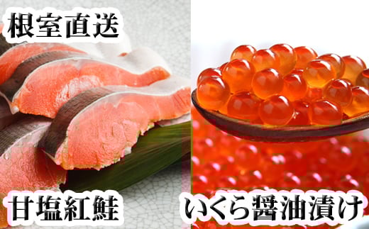 C-70024 いくら醤油漬け100g×2P、紅鮭切身5切×4P 236143 - 北海道根室市