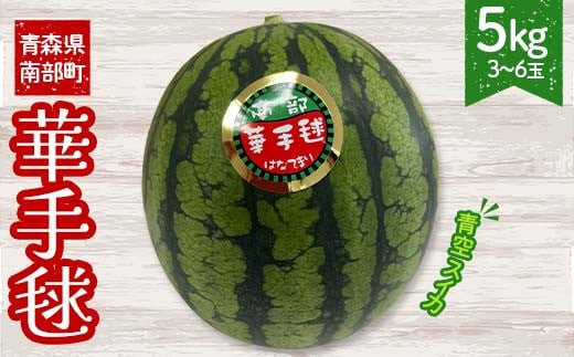 ≪数量限定≫ 青空スイカ 「宙づり栽培の小玉スイカ(華手毬)」 5kg (3～6玉) 【大向農園】 西瓜 すいか 夏 青森県 南部町 ギフト お中元 F21U-508