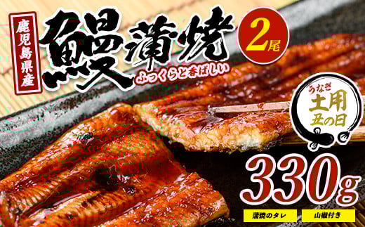 【丑の日に合わせてお届け！】鹿児島県産鰻の蒲焼(無頭背開き)約165g×2尾(山中水産/016-1065u)【2025年7月9日～7月19日お届け】うなぎ 国産 鹿児島 蒲焼 丑の日 丑 土用丑の日  303873 - 鹿児島県指宿市
