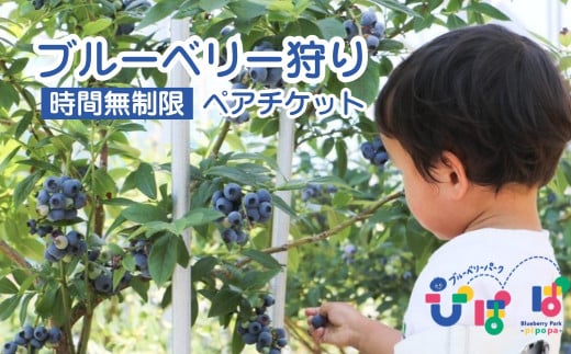 ブルーベリーパーク ぴぽぱ ペアチケット ｜ ブルーベリー 狩り 2名 体験 入園券 無料券 夏季限定 【121237-001】