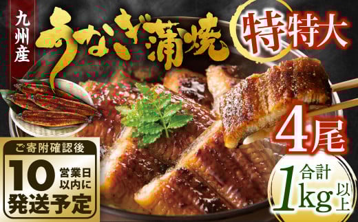 九州産 うなぎ蒲焼 特特大4尾 (1尾あたり250~266g) 合計:1kg以上【順次発送】 2152282 - 福岡県北九州市