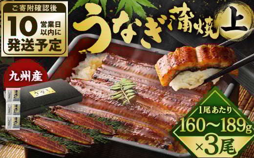 九州産 うなぎ 蒲焼 上 3尾 (1尾あたり160~189g)【順次発送】 2152270 - 福岡県北九州市