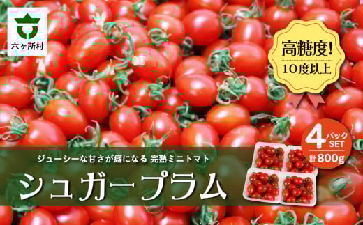青森県六ヶ所村産トマト　1.6㎏
