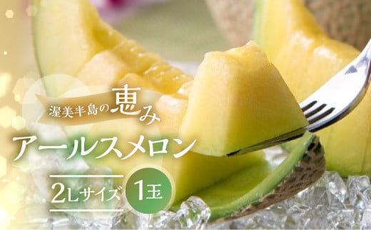 【9月発送】メロン 2L × 1玉  日研農園 ／ メロン めろん 先行予約 フルーツ 果物 アールスメロン 青肉メロン 旬 夏 厳選 高級 人気 デザート  メロン ゼリー 贈答用 贈答品 贈答 メロン パン 産直 産地直送 ギフト プレゼント 贈り物 愛知県 特産品 産地直送 田原市 渥美半島 7月 8月 9月