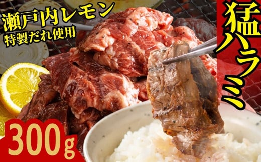 牛ハラミ 1パック 300g 尾野精肉店の牛ハラミ瀬戸内レモン塩だれ ｜ 肉 訳あり 小分け 真空パック 冷凍 牛肉 ハラミ 瀬戸内 レモン 塩ダレ 広島県 竹原市　※離島への配送不可 1993566 - 広島県竹原市