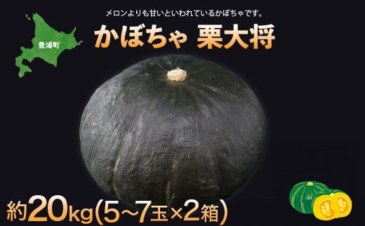 【先行予約】北海道 豊浦町 かぼちゃ 栗大将 約20kg （1箱5～7玉）約10kg×2箱（2025年9月の収穫後より順次発送）【 ふるさと納税 人気 おすすめ ランキング 野菜 その他野菜 かぼちゃ 南瓜 カボチャ 国産 天麩羅 煮つけ ハロウィン おいしい 美味しい 甘い 北海道 豊浦町 送料無料 】 TYUL033