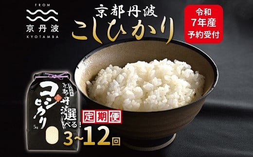 [先行予約][定期便]京丹波こしひかり 5kg 10kg 選べる 回数 3回 6回 12回 15kg〜60kg 連続 3カ月 6カ月 12カ月 令和7年産 新米 京都 米 精米 コシヒカリ ※北海道・東北・沖縄・その他離島は配送不可 [030MB001RX]