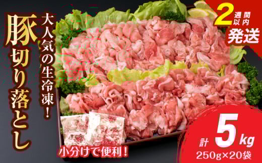 大人気 生冷凍 厳選 豚切り落とし 計5kg 豚肉 おすすめ 国産 食品 焼肉 肉じゃが 豚汁 野菜炒め おかず お弁当 晩ご飯 グルメ 小分け 個包装 真空パック おすそ分け お取り寄せ 新鮮 万能食材 宮崎県 日南市 送料無料_E51-25-2W 2154355 - 宮崎県日南市