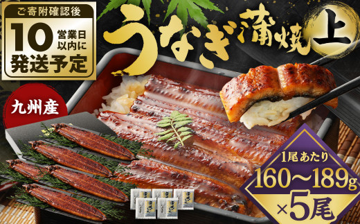 九州産 うなぎ 蒲焼 上 5尾 (1尾あたり160~189g)【順次発送】 2152262 - 福岡県北九州市