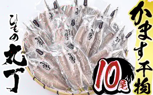 ギフト用品質！九州産ひものかます開き(10尾) 干物 かます カマス 開き 魚 海鮮 冷凍 ひもの 小分け 惣菜 おかず セット ギフト 贈り物 大分県 佐伯市【DH182】【ネクサ】 2154502 - 大分県佐伯市