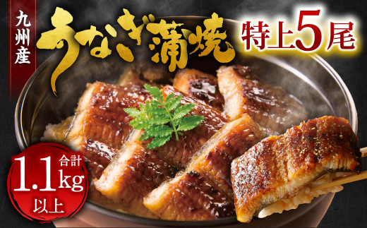 九州産 うなぎ 蒲焼 特上 5尾 計1.1kg以上 (1尾あたり220~235g)【2025年8月発送】 2152243 - 福岡県北九州市