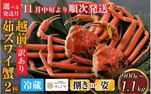 【先行予約】[捌き済選択可][到着日指定可]【訳あり】蟹好きが唸る老舗カニ料理店の越前茹ズワイ蟹 大サイズ(900g～1.1ｋg)2杯【11月中旬より順次発送】 [J-085030]