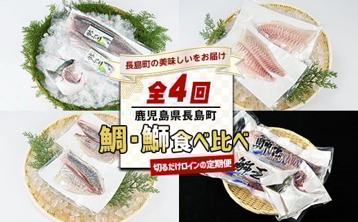 [定期便・毎月発送全4回] 長島町自慢のお魚定期便(ロイン) 全4回 nagashima-1515