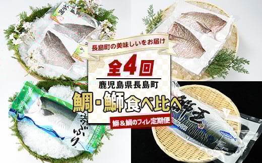 [定期便・毎月発送全4回] 鯛と鰤の食べ比べ定期便(フィレ) 全4回 長島町特産 nagashima-1514