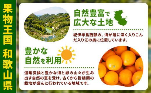 アイテムID:359935の画像2枚目