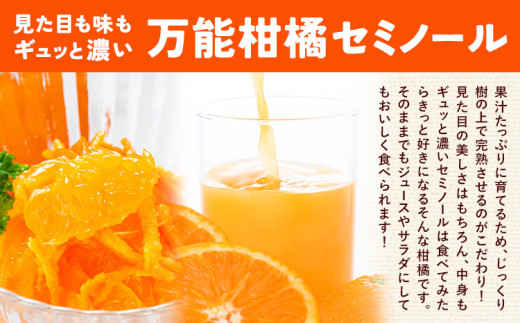 アイテムID:359935の画像4枚目