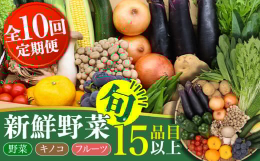 [10回定期便] 豪華!野菜 果物 きのこセット 15品目以上 / 野菜定期便 やさい定期便 フルーツ 果物 キノコ 詰め合わせ / 南島原市 / 吉岡青果 