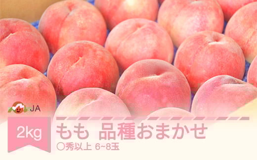 先行予約 もも 桃 品種おまかせ 約2kg 令和7年産 2025年産 山形産 果物 ja-moxxx2 2153272 - 山形県村山市