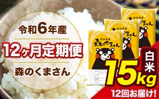 令和6年産 森のくまさん 白米 15kg 5kg×3袋 計12回お届け 《お申し込み月の翌月から出荷開始》 お米 こめ 熊本県産 ご飯 備蓄