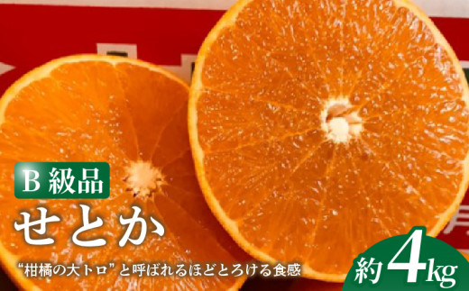 【2026年2月下旬より発送】 せとか 4kg 【B級品】| 柑橘 みかん せとか 果物 愛媛県 松山市 田村農園 