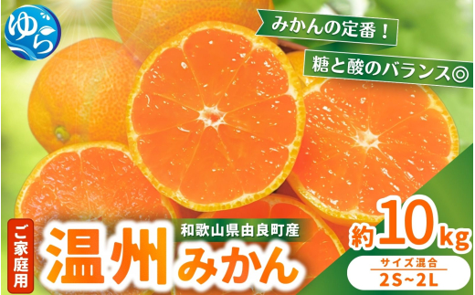 【先行予約】家庭用 温州みかん 約10kg ※2025年11月中旬頃～2025年12月中旬頃に順次発送 /  農家直送  くだもの  果実  柑橘 果物 フルーツ 国産 和歌山県 由良町 ご家庭用 人気 おすすめ【nktn005】 1530794 - 和歌山県由良町