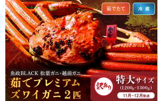 訳あり　【蟹の匠 魚政】茹で　プレミアムズワイガニ 魚政BLACK（松葉ガニ・越前ガニ） 特大サイズ（1200～1300g） 2匹セット【11月～12月発送：土日祝】　松葉蟹 蟹 かに カニ ガニ がに ボイル まるごと 海産物 海鮮 魚介 魚介類 甲殻類 海の幸 小 京都 京丹後 京丹後市 ふるさと納税 蟹 送料無料　UO01324