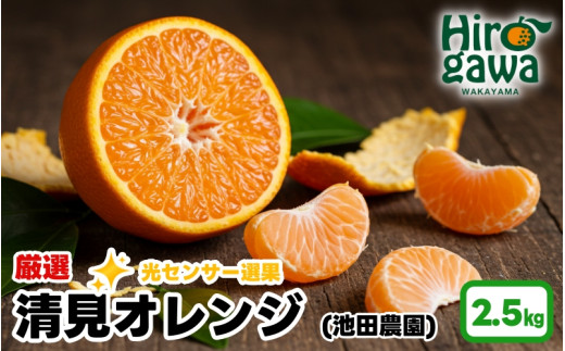 清見 オレンジ 厳選 2.5kg+250g（痛み補償分） 光センサー / 清見オレンジ 清見タンゴール きよみ 清美 甘い 高級 和歌山 柑橘 ※2月上旬～5月中旬に順次発送 ※北海道・沖縄・離島への配送不可【ikd011-p-2d5B】 1980137 - 和歌山県広川町