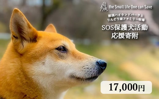 那須ハイ＆りんどう湖　SOS保護犬活動　お礼品なし 〔P-364〕