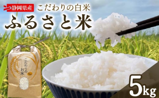 米 白米 新米 5kg お米 精米 令和7年度産 ふるさと米 先行予約 キヌヒカリ きぬひかり ニジノキラメキ にじのきらめき キヌムスメ きぬむすめ ごはん ケーティー 静岡県 牧之原市 ~牧之原から採れたてのお米をお届けします~