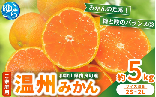 【先行予約】家庭用 温州みかん 約5kg ※2025年11月中旬頃～2025年12月中旬頃に順次発送 / 農家直送 くだもの  果実  柑橘 果物 フルーツ 国産 和歌山県 由良町 ご家庭用 人気 おすすめ【nktn003】 1530792 - 和歌山県由良町