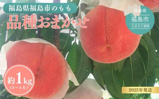 No.3111 福島の桃 約1kg(3～4玉）品種おまかせ【2025年発送】