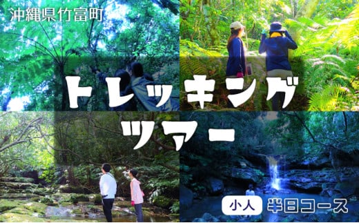 西表島 半日森林浴滝トレッキングツアー【体験可能期間:11月1日～4月30日】小人1名分【 旅行 体験チケット 西表島ツアー 大自然 体験ツアー 観光 沖縄 森林浴 滝 トレッキング アクティビティ】