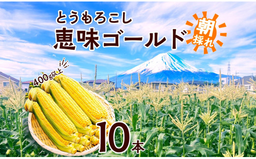 [レビューキャンペーン実施中]とうもろこし 恵味 ゴールド 400g以上×10本 計4kg以上 高糖度 トウモロコシ スイートコーン 玉蜀黍 イエローコーン 黄 夏野菜 甘い ジューシー 野菜 おやつ 旬 産地直送 送料無料 湖南野菜出荷組合 山梨県 富士河口湖町 地元産 新鮮 コーン 夏野菜 農産物 ふるさと納税 国産 湖南野菜
