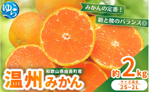 [先行予約]≪秀優良混合≫ 温州みかん 約2kg 2S〜2Lサイズ混合 ※2025年11月中旬頃〜2025年12月中旬頃に順次発送 / 温州 ミカン 農家直送 完熟 密柑 くだもの 果実 柑橘 果物 フルーツ 和歌山県 由良町 人気 おすすめ 産地直送[nktn015-sp]