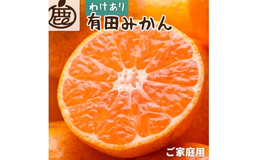 【先行予約】家庭用有田みかんサイズ混合(2S～2L)7.5kg+250g 11月より発送(完熟)/ みかん ミカン 有田みかん 柑橘 フルーツ 果物 和歌山 オレンジ【ikd116C】 1397511 - 和歌山県紀美野町