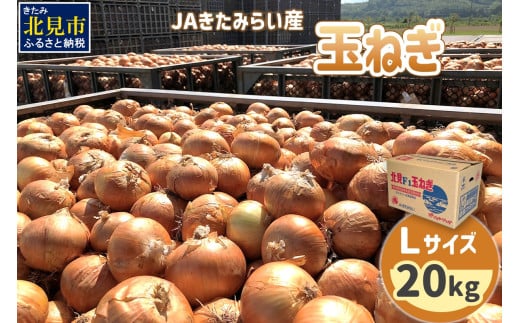 【2026年6月中お届け】JAきたみらい産 玉ねぎ Lサイズ 20kg ( タマネギ たまねぎ 野菜 )【210-0002】