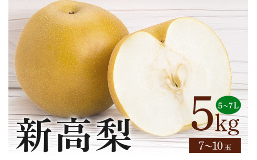 新高梨 箱込約 5kg(JA新ひたち野)梨 約 7玉 〜 10玉 品種 新高 にいたか なし ナシ 果物 フルーツ 大玉 6L 5L 4L サイズ 5キロ 9月 発送 秋 旬 産地直送 農家直送 産直 国産 くだもの 甘い 糖度 茨城県産 茨城県 石岡市 (B01-011)