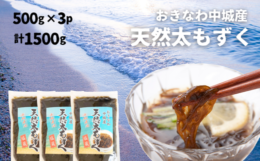 【2025年5月以降発送開始】中城村産「天然」太もずく（500ｇ×3パック）もずく酢 三杯酢 酢の物 海藻 てんぷら かき揚げ サラダ 低カロリー ミネラル ビタミン フコイダン 水溶性食物繊維 小鉢 副菜 沖縄県産 1999494 - 沖縄県中城村