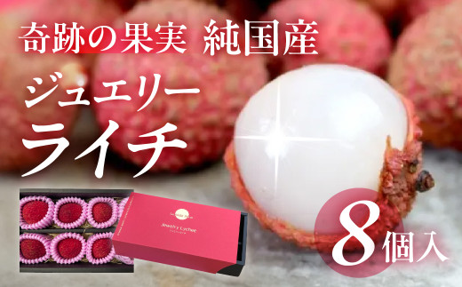 ≪先行予約≫超希少！愛知県産 生ライチ 8個入り