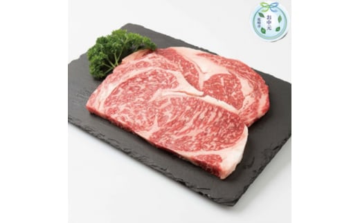 <のし付き・お中元>枕崎牛 ロースステーキ<400g> 国産和牛 焼肉 B3-63C【1633659】 2152747 - 鹿児島県枕崎市