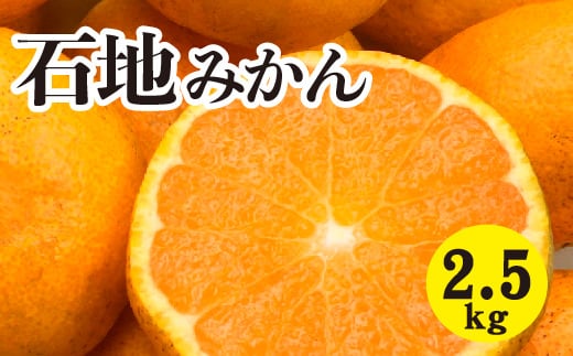 みかん 柑橘【先行受付】【2025年12月以降発送】糖度が高く濃厚！ 石地みかん ＜約2.5kg＞ 広島 三原 佐木島 鷺島みかんじま 017041 1434123 - 広島県三原市