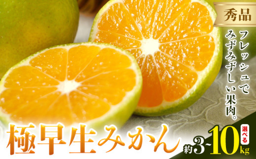 みかん 極早生みかん 秀品 選べる 内容量 3kg 5kg 10kg 日本フルーツ株式会社《2025年9月上旬-10月末頃出荷》熊本県 荒尾市 早生みかん 果物 フルーツ スイーツ デザート ギフト ご贈答