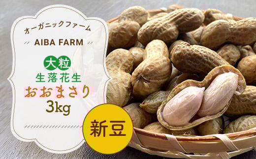 【先行予約・新豆 】千葉県産 大粒 農家直送！「生落花生」おおまさり３kg　【 ふるさと納税 人気 おすすめ ランキング 皮付き 殻付き ピーナッツ ピーナツ 落花生 オーガニック 千葉県 富里市 送料無料 】TML010 2110910 - 千葉県富里市
