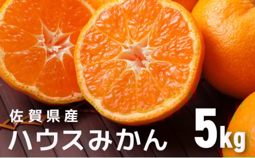 佐賀産ハウスみかん約5kg箱【佐賀 みかん オレンジ フルーツ濃厚 甘い 酸味 大町 贈答 ギフト 贈り物】37mp-02