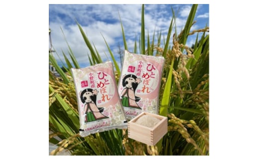 ＜毎月定期便＞小野町産ひとめぼれ 精米 10kg(5kg×2袋)全3回【4068908】