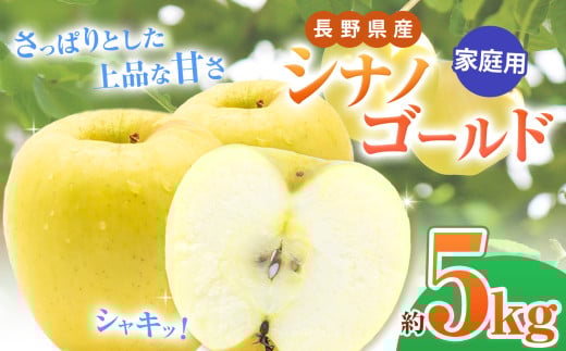 *【2025年先行予約】 家庭用 シナノゴールド 約5kg｜ 北條農園 リンゴ りんご 林檎 果物 フルーツ 果実 果汁  シナノゴールド 家庭用 長野県 松川村 信州