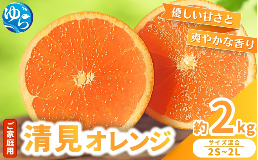 【来シーズン 先行予約】≪家庭用≫ 清見オレンジ 約2kg ※2026年3月上旬～順次発送 農家直送 / くだもの  果実  柑橘 果物 フルーツ 国産 和歌山県 由良町 清見  人気 おすすめ 和歌山 甘い きよみ 清見おれんじ 訳あり 家庭用 【nktn022】 2115720 - 和歌山県由良町