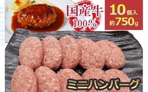 [牛壱] 国産牛100% ミニハンバーグ 75g×10個 [2334]