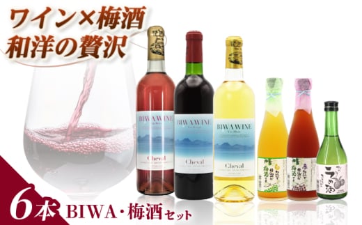 BIWA・梅酒セット 栗東市 / 太田酒造株式会社 [BIAC012]