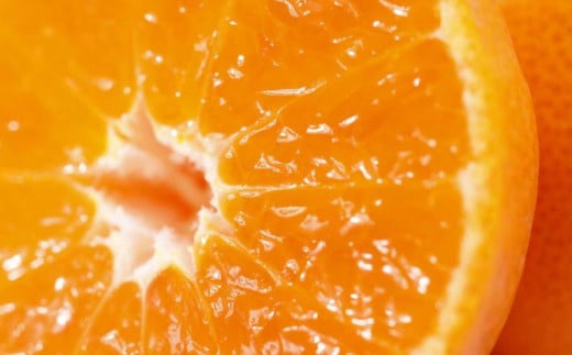 【数量限定】JAにしうわ みつる共選 「蜜る」 4kg（2S～2L）※離島への配送不可（2025年11月中旬より順次発送予定） 【ふるさと納税 人気 おすすめ ランキング 柑橘 ミカン みかん 蜜る mikan 光センサー 糖度12度 果物 生果 フルーツ ブランド 旬 愛媛県産 愛媛県 伊方町 送料無料】 IKTBC004